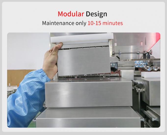 RQ-16 Tablet Capsule Automatic Counting Machine With Modular Design 2