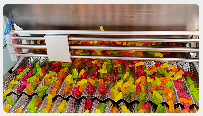 RQ-16R Gummy Candy Tablet Counting Machine Automatic Capsule Counter High Speed 4