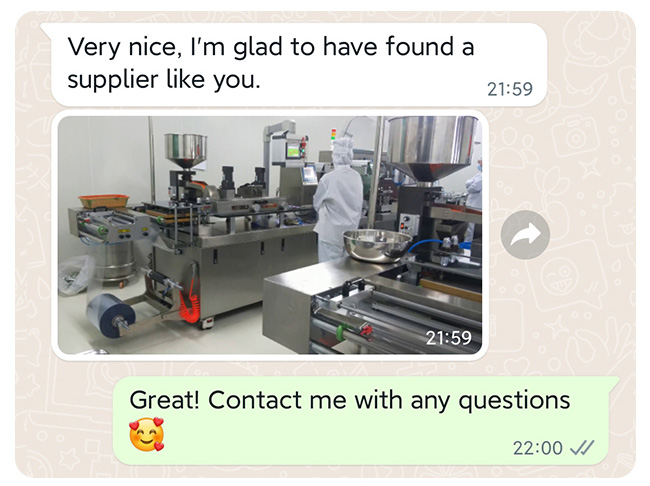 DPP-260R Tablet Blister Packing Machine Automatic High Speed Packaging Capsule 0