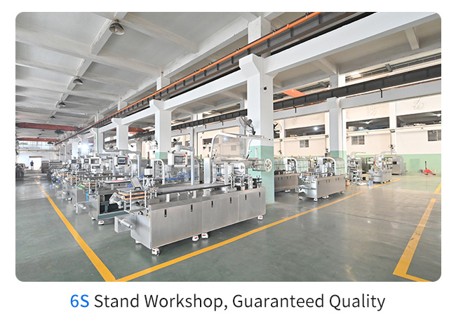 DPP-260R Tablet Blister Packing Machine Automatic High Speed Packaging Capsule 1
